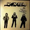 Budgie -- If Swallowed, Do Not Induce Vomiting (2)