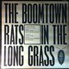 Boomtown Rats -- In The Long Grass (2)