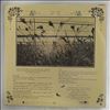 Kottke Leo -- Greenhouse (2)