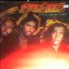Bee Gees -- Spirits Having Flown (2)
