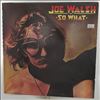 Walsh Joe -- So What (2)