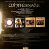 Whitesnake -- 1987 (2)
