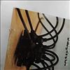 Tarantula -- Same (2)