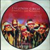 Callenish Circle -- Graceful...yet forbidding (1)
