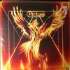 Picture -- Wings (3)