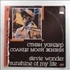 Wonder Stevie -- Sunshine of my life (2) (2)