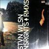 Wilson Steven (Porcupine Tree) -- Nsrgnts Rmxs (2)