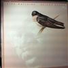 Hanna Roland -- Bird Watching (1)