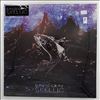Gray David -- Skellig (1)