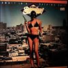 Bromberg David Band -- Bandit In A Bathing Suit (4)