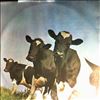 Pink Floyd -- Atom Heart Mother (2)