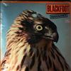 Blackfoot -- Marauder (2)