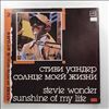 Wonder Stevie -- Sunshine of my life (2) (1)