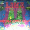 Lime spiders -- Cave comes alive (2)