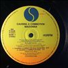 Madonna -- Causing A Commotion (3)