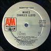 Lloyd Charles -- Waves (3)