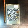 Hoodoo Gurus -- Blow your cool (2)