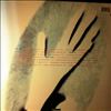 Townshend Peter -- Psychoderelict (2)