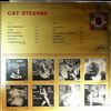 Stevens Cat -- Same (2)