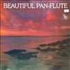 Various Artists -- Beautiful pan-flute (1)