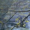 Various Artists -- Dancing and dreaming.Prague Silver Strings (1)