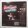 Bee Gees -- Mr. Natural (2)