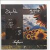 Sigur Ros -- Sunflower (Live 2013) (1)