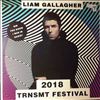 Gallagher Liam (OASIS) -- TRNSMT Festival 2018 (2)