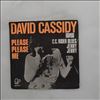 Cassidy David -- Please Please Me / C.C. Rider Blues / Jenny Jenny (1)