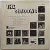 Shadows -- Walking (1)