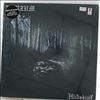 Burzum -- Hlidskjalf (2)