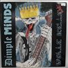 Dimple Minds -- Volle Kelle Live (2)