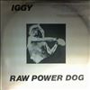 Pop Iggy -- Raw Power Dog  (3)