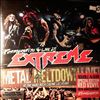 Extreme -- Pornograffitti Live 25 (2)