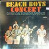 Beach Boys -- Concert (3)