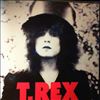 Tyrannosaurus Rex (T. Rex) -- Slider (2)