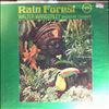 Wanderley Walter Trio -- Rain forest (2)