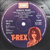 Tyrannosaurus Rex (T. Rex) -- Futuristic Dragon (2)