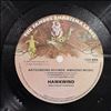 Hawkwind -- Astounding Sounds, Amazing Music (2)