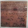 Kittyhawk -- Race For The Oasis (2)