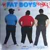 Fat Boys -- Fat boys are back (1)