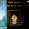 Squire Chris -- Fish Out Of Water (2)