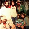 Beach Boys -- Same (1)
