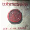 Whitesnake -- Slip Of The Tongue (2)
