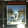 Bluebells -- same (1)