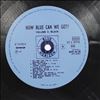 Various Artists -- How Blue Can We Get? (2)