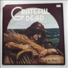 Grateful Dead -- Wake Of The Flood (1)