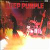 Deep Purple -- Collection (1)