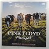 Pink Floyd -- Atomized (John Peel's Sunday Concert : BBC Paris Theatre London, 19th July 1970) (2)