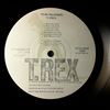 Tyrannosaurus Rex (T. Rex) -- Slider (2)